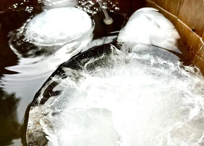 Cztery Zywioly Гостевой дом